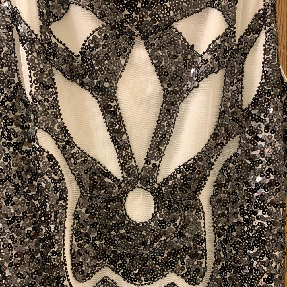 Roaring 20s Flapper Dress